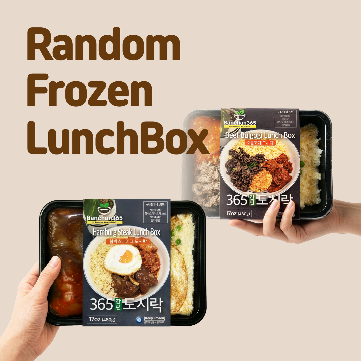 [FREE] Random Lunchbox 🎁
